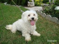 /album/klbka/a35980779-1-jpg/